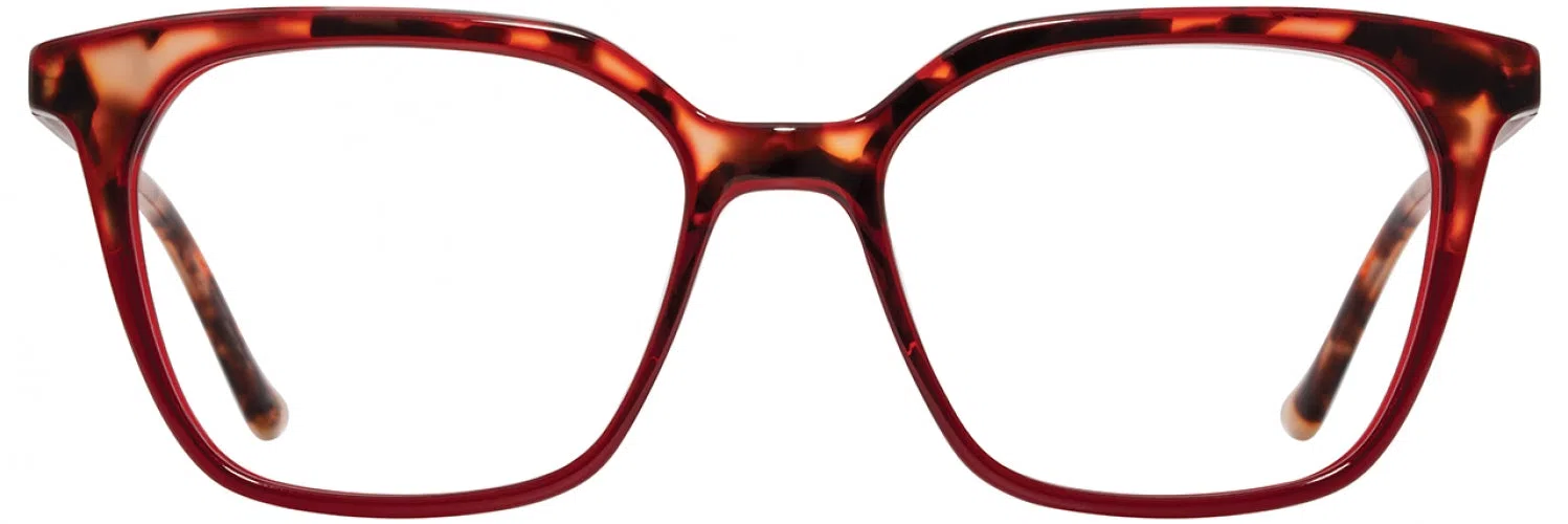 Cinzia CIN5189 Eyeglasses - view 4